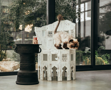 Kritliyya Chair